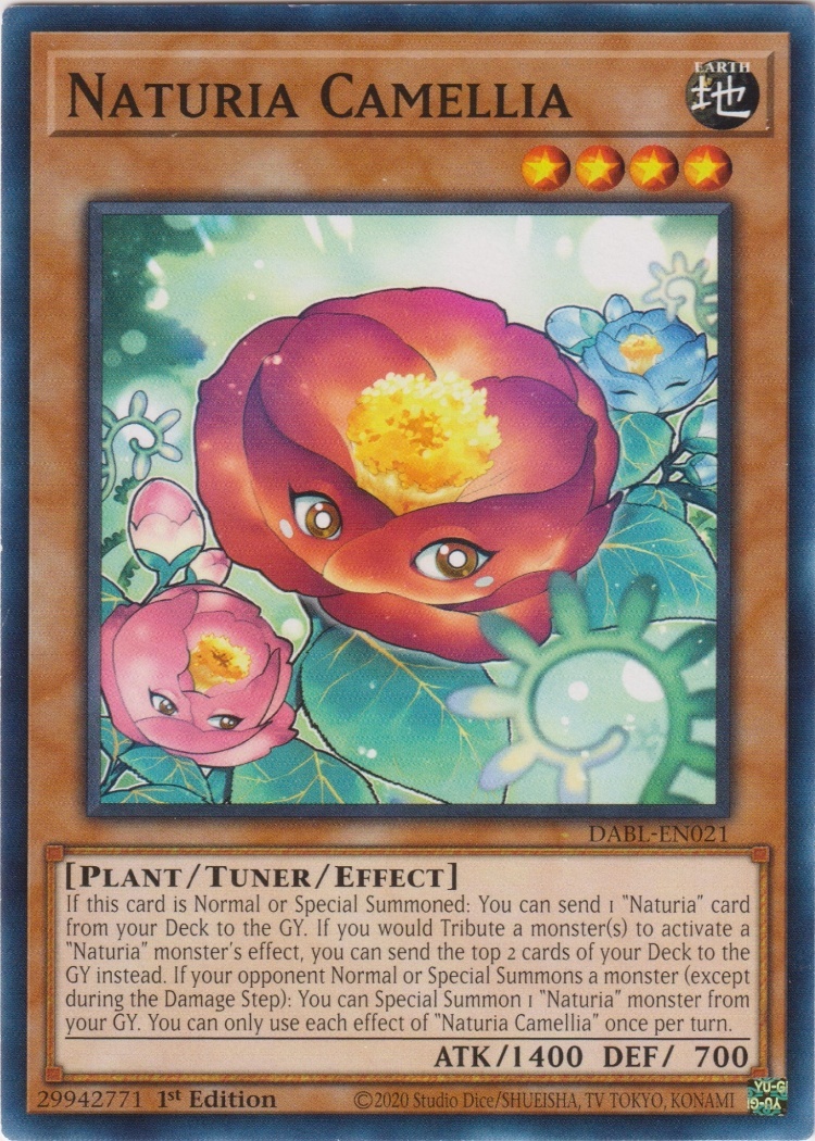 DABL-EN021 - Naturia Camellia