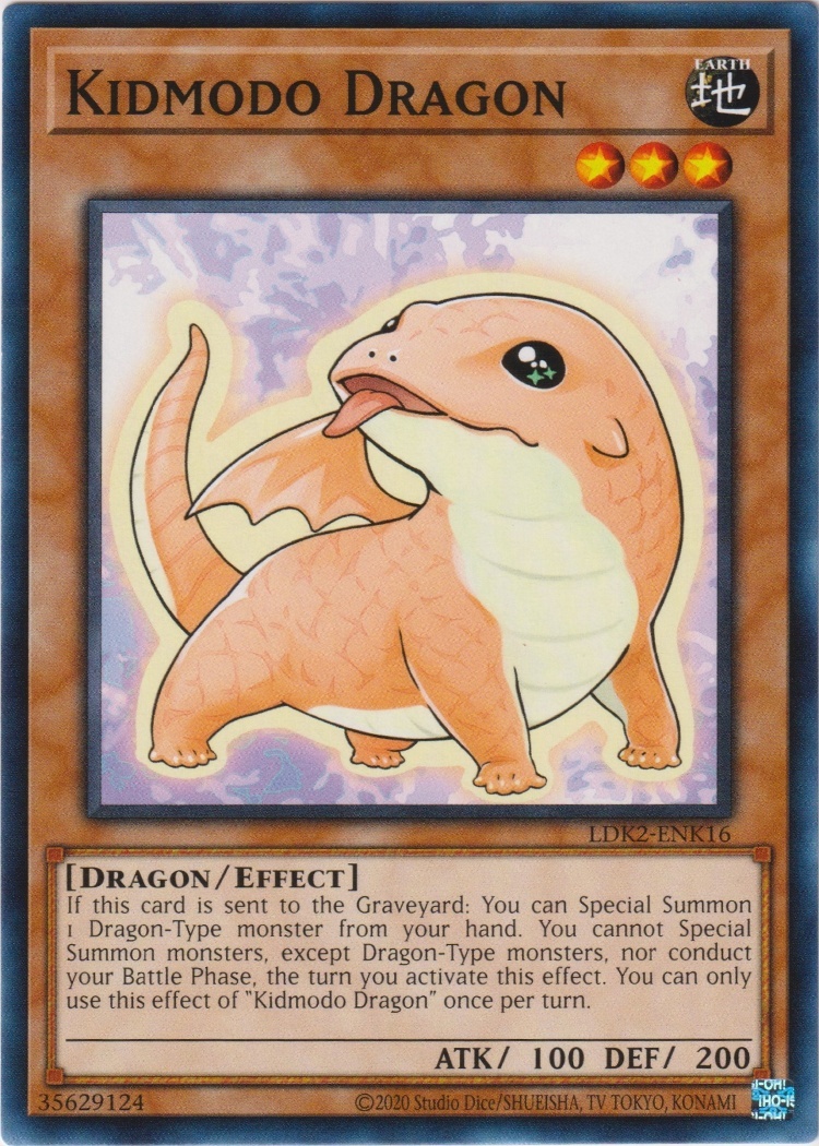 LDK2-ENK16 - Kidmodo Dragon