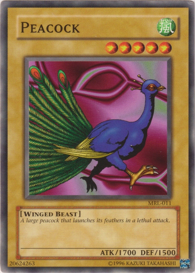 MRL-011 - Peacock