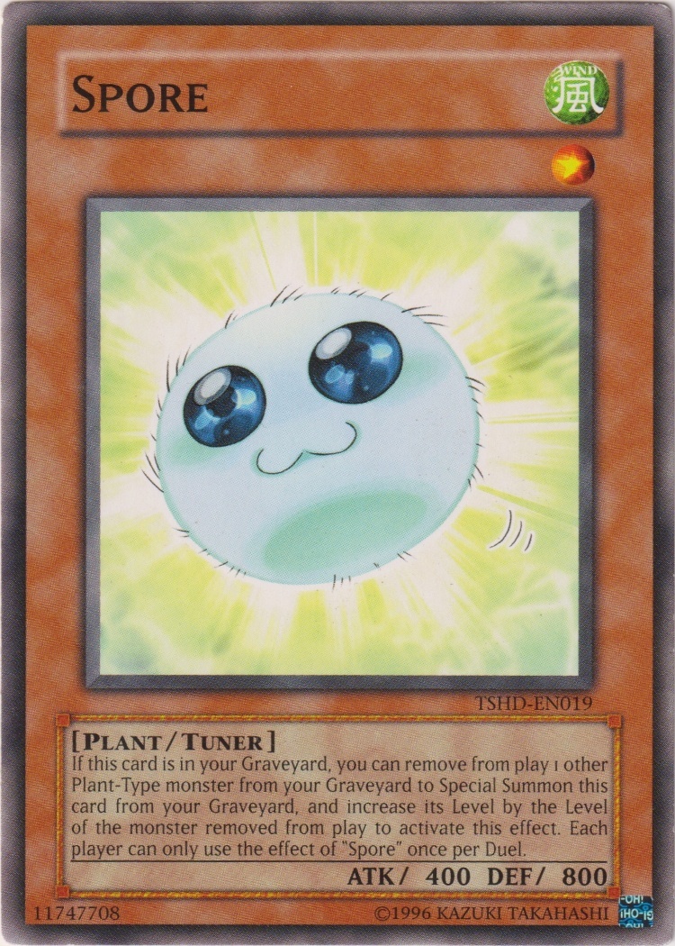 TSHD-EN019 - Spore